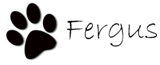 Fergus signature